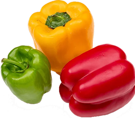Fresh bell peppers